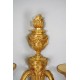 Apliques de bronce dorado estilo Luis XVI