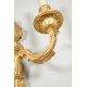 Pareja de apliques de bronce dorado estilo Luis XVI